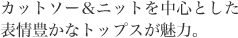 �J�b�g�\�[���j�b�g�𒆐S�Ƃ����\��L���ȃg�b�v�X�����́B
